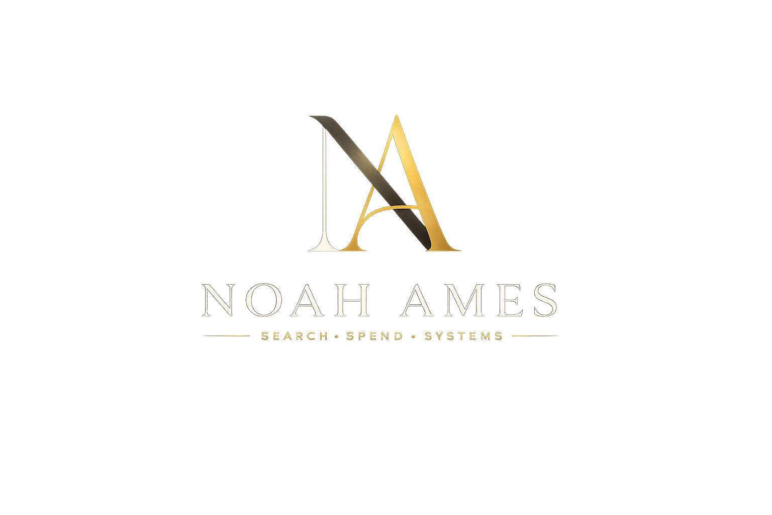 Noah Ames · Search, Spend & Systems